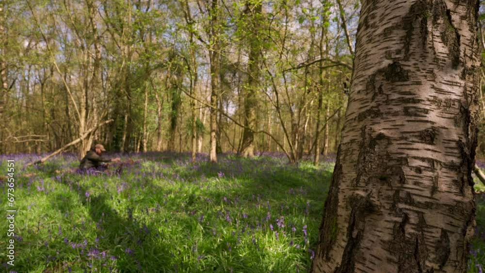 A man sat down in glorious bluebell filled woodland making a hot drink A man sat down in glorious bluebell filled woodland making a hot drink