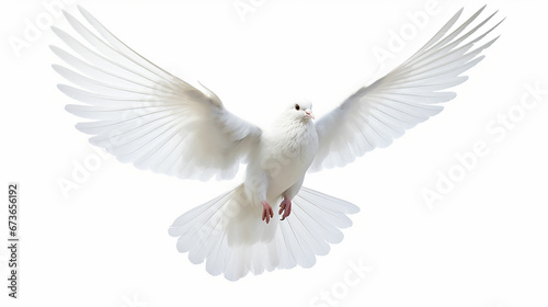 Free flying white pigeon on white background. Made with generative ai © Farid