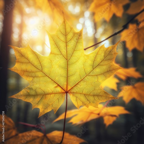 A close-up of a red maple leaf with veins and spots, detaching from a branch with other green and yellow leaves, against a blurred background of a forest in autumn, nature photography