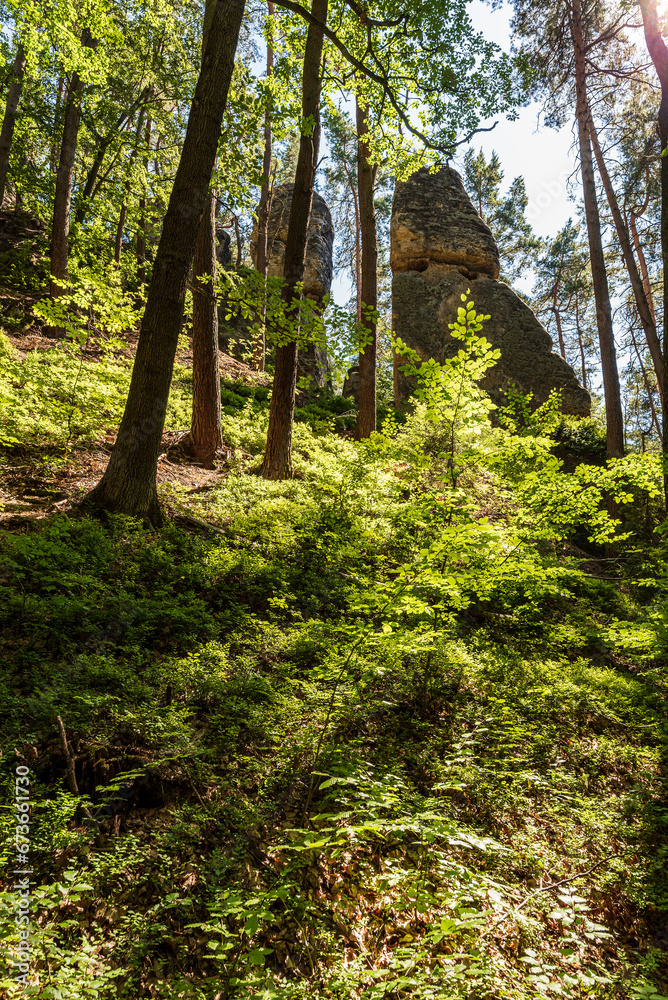 Forest with few rock formations in CHKO Kokorinsko - Machuv kraj in Czech republic Forest with few rock formations in CHKO Kokorinsko - Machuv kraj in Czech republic