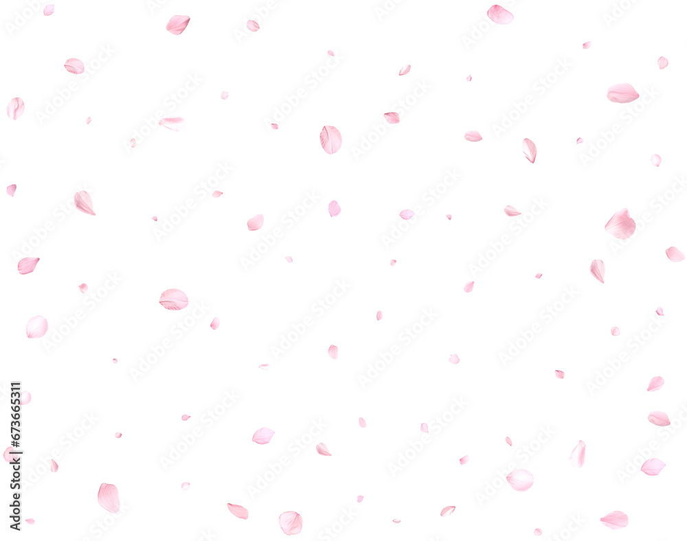 Pink sakura petals.