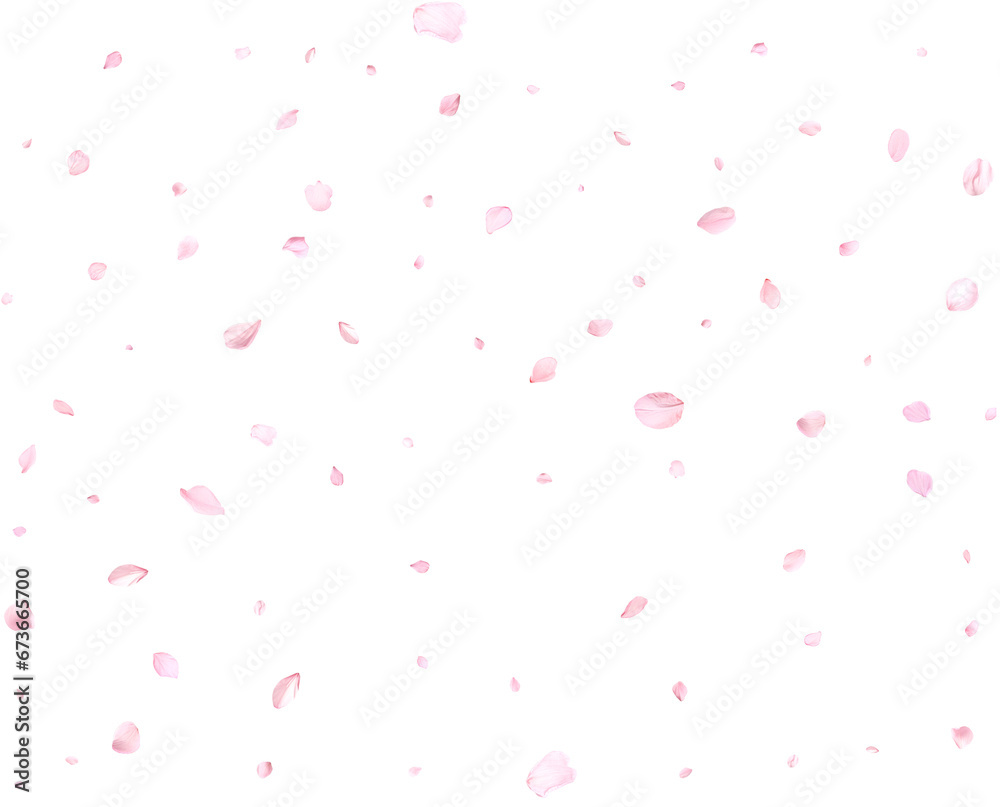 Pink cherry petals.