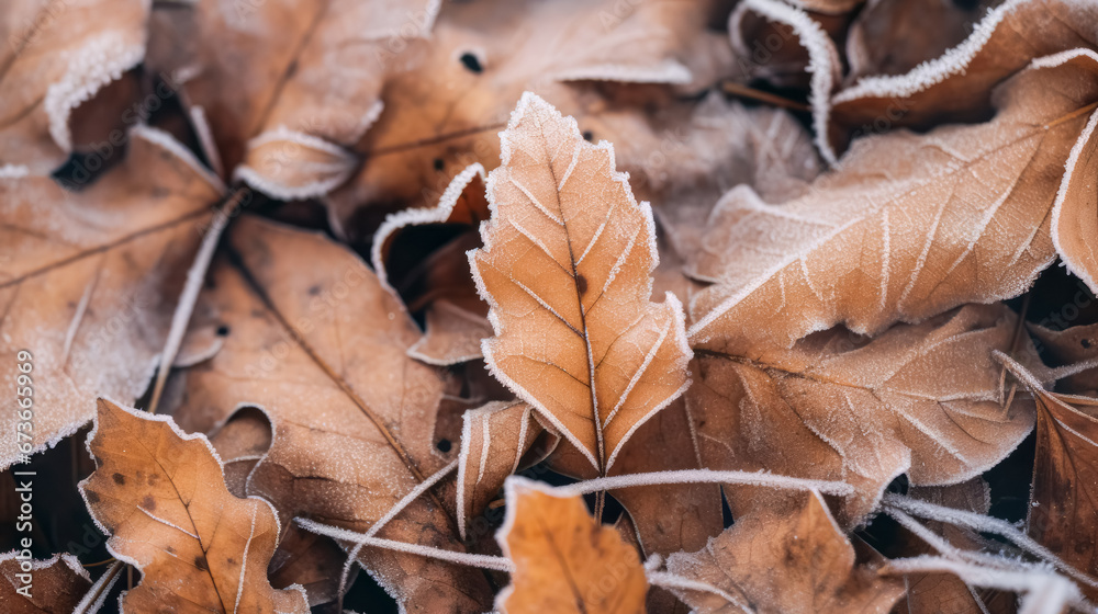 Frost covered closeup autumn leaves beautiful background. Cold weather frozen winter seasonal scene. Frost covered closeup autumn leaves beautiful background. Cold weather frozen winter seasonal scene.