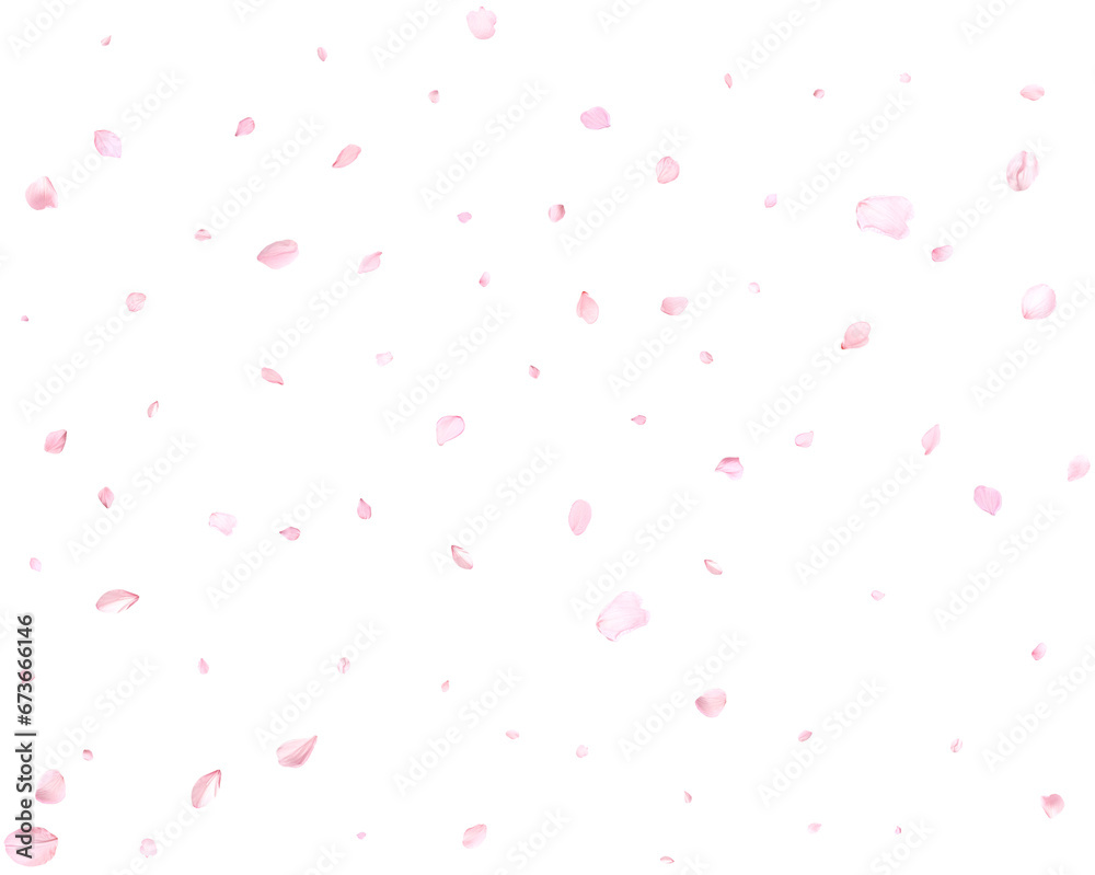 Pink cherry petals.