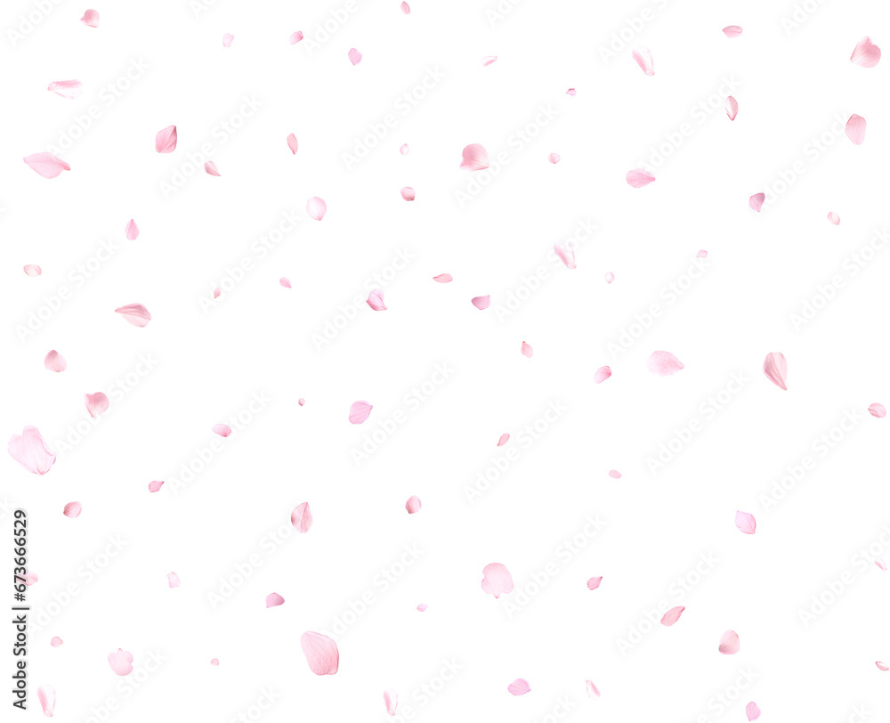 Pink cherry petals.
