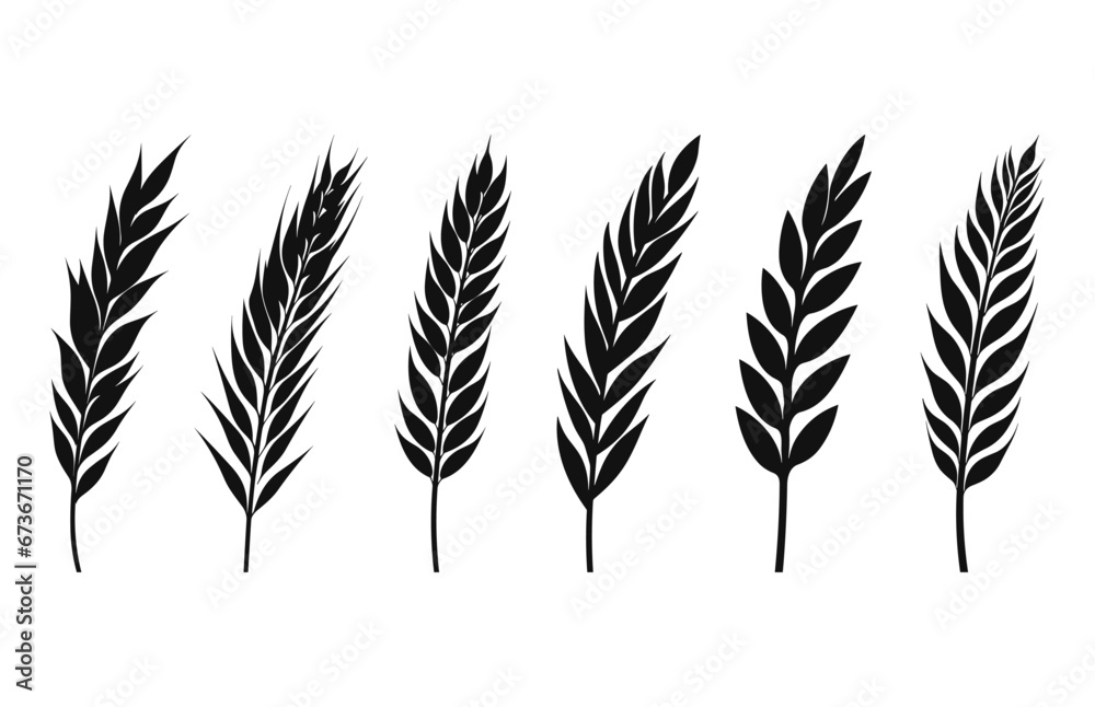 Wheat ears silhouette Vector illustration, Wheat grain spikes set Wheat ears silhouette Vector illustration, Wheat grain spikes set