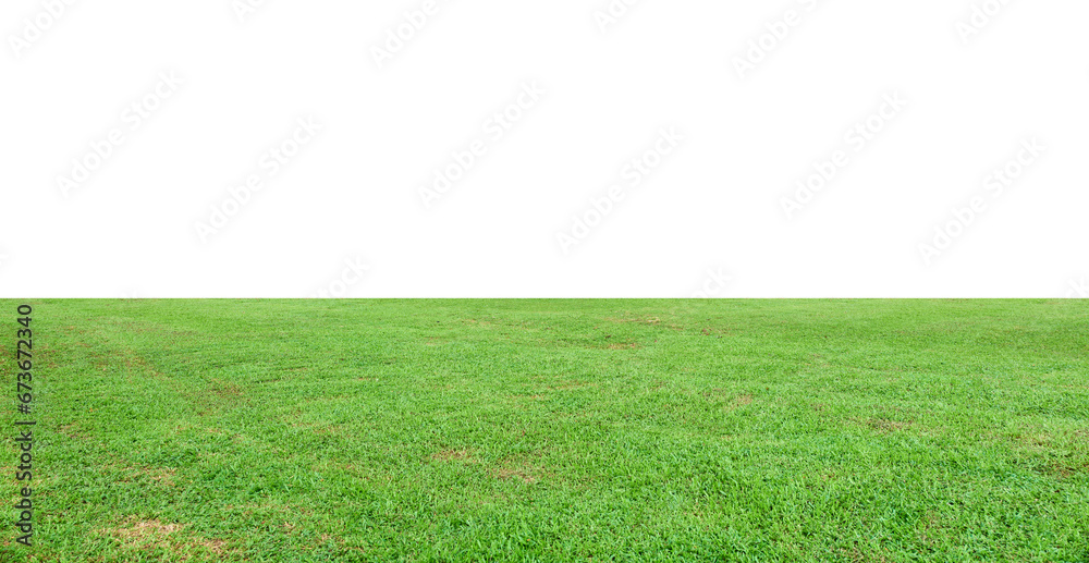 Green grass landscape isolated on white background