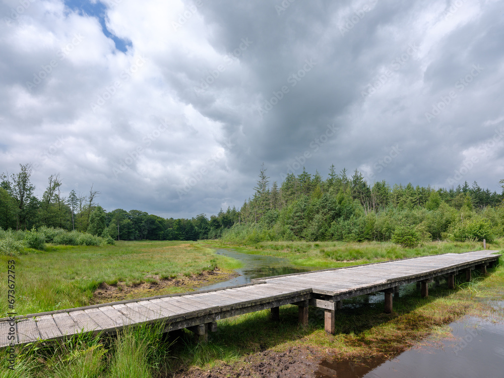 Bakkeveense Duinen, Friesland province, The Netherlands