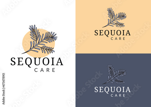 Vector sequoia branch and leaf logo design concept