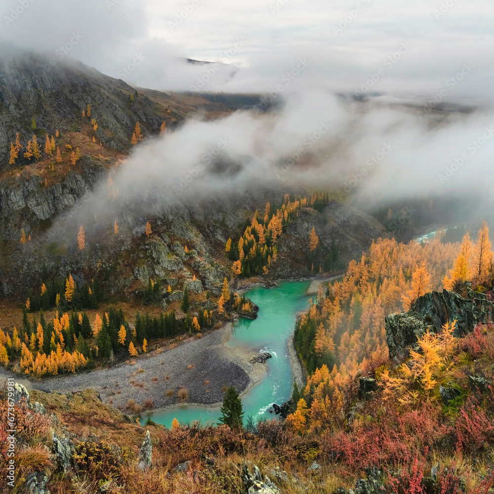 Wonderful alpine landscape with mountain river Argut in valley with forest in autumn colors on background of foggy mountains silhouettes under low clouds. Beautiful mountain valley in autumn.