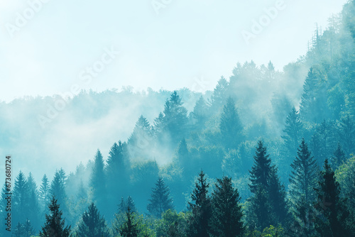 Morning fog in beautiful Alpine evergreen forest landscape