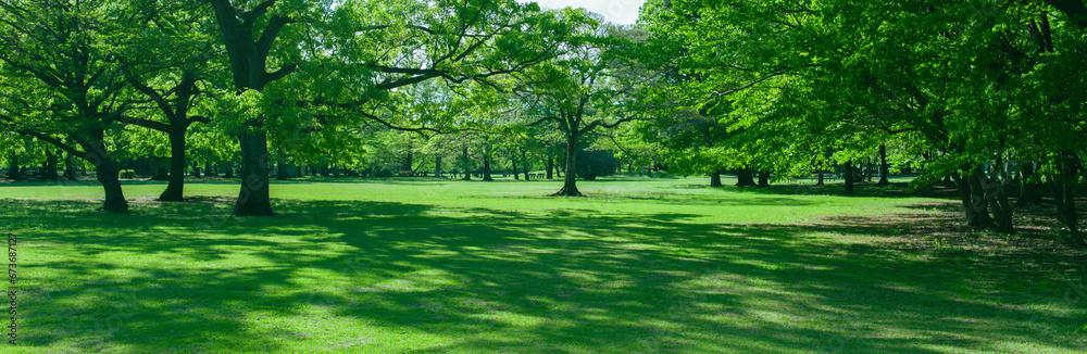 Green Park banner