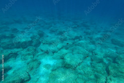 Underwater rocky landscape with swimming fish, blue ocean. Seascape with rocks and marine life, underwater photography from snorkeling. Clear ocean and aquatic wildlife.