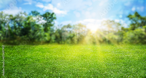 natural grass field background with blurred bokeh and sun rays