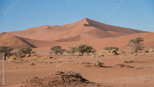 Dunes, Namib-Naukluft Park, Namibia