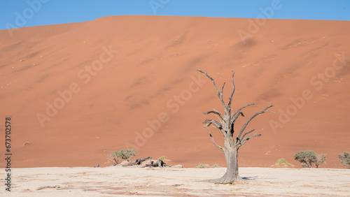 Dead Vlei, Sossusvlei, Namibia
