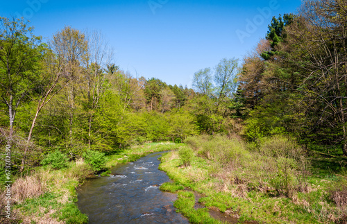 A Stream at Allegany State Park, New York, USA