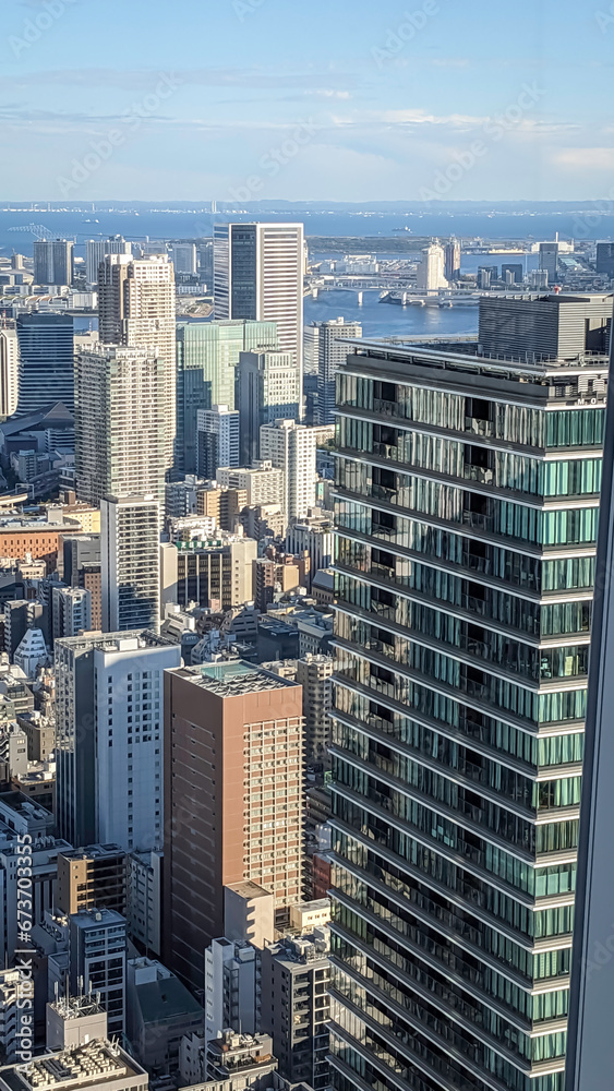 東京の高層ビルから見る風景