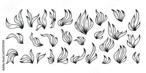 Decorative black and white doodle twigs with leaves. Set of vector isolated botanical branches.