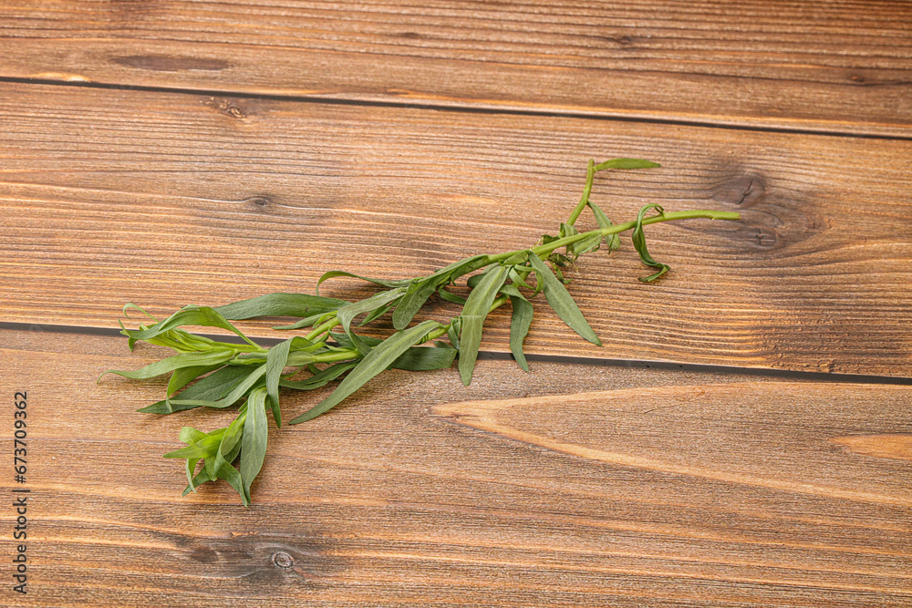 Green tarragon herb spice for cooking Green tarragon herb spice for cooking