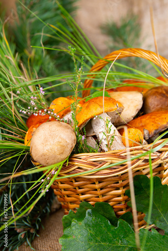 various edible mushrooms in a wicker basket in the grass
