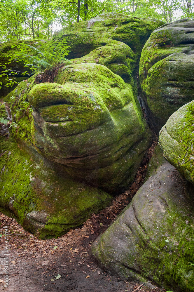 Thunder Rocks at Allegany State Park in New York State Stock Photo ...