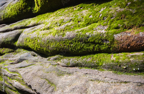 Thunder Rocks at Allegany State Park in New York State photo