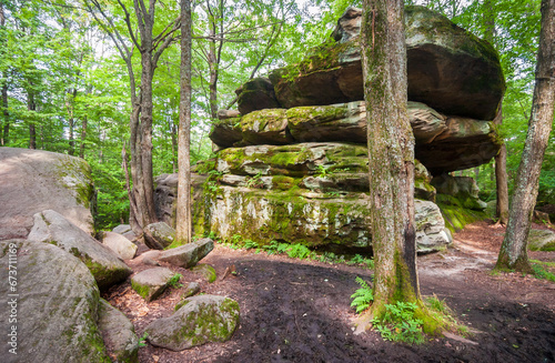 Thunder Rocks at Allegany State Park in New York State photo