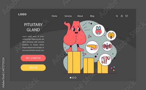 Pituitary gland anatomy night or dark mode web banner or landing page. Human endocrine system, brain and hypothalamus. Internal organs hormones production. Flat vector illustration