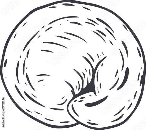 Dumpling. Hand drawn traditional cuisine food in monochrome sketch style. Vector illustration.