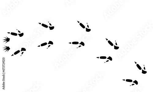 Australian animal , paw prints, vector illustration wild animal footprints black on white background. Kangaroo foot print for different design.