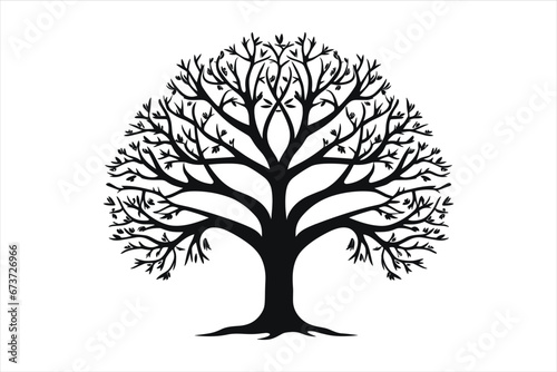 Tree Vector Art  Icons  and Graphics vector