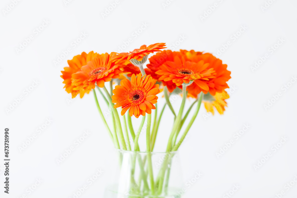 Bouquet of beautiful gerbera flowers. Minimalist floral background. Bouquet of beautiful gerbera flowers. Minimalist floral background.