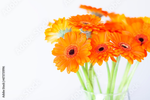 Bouquet of beautiful gerbera flowers. Minimalist floral background.