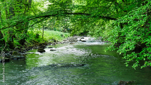 Auf dem Ostweg im Würmtal