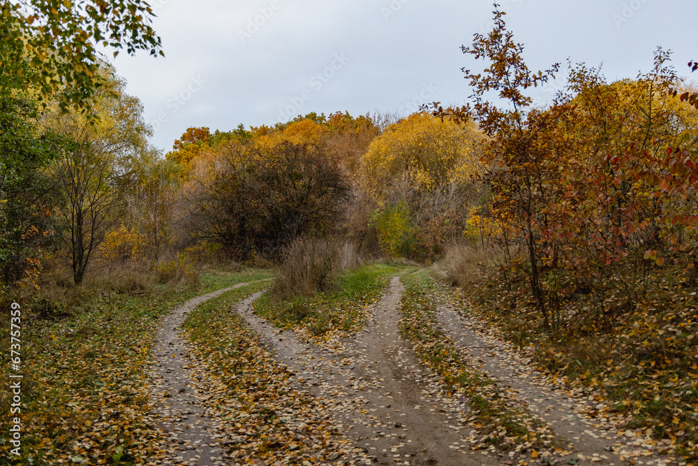 Dirt country road in the autumn forest