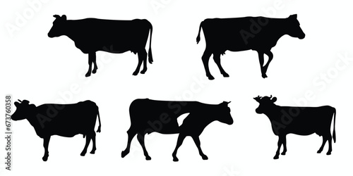 Silhouettes of cows. Cow silhouettes set. Vector illustration
