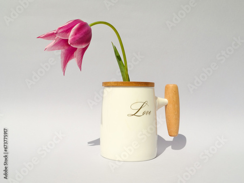 White bamboo cup and pink tulip on gradient gray background. Minimal spring concept. Creative spring idea. Love cup.