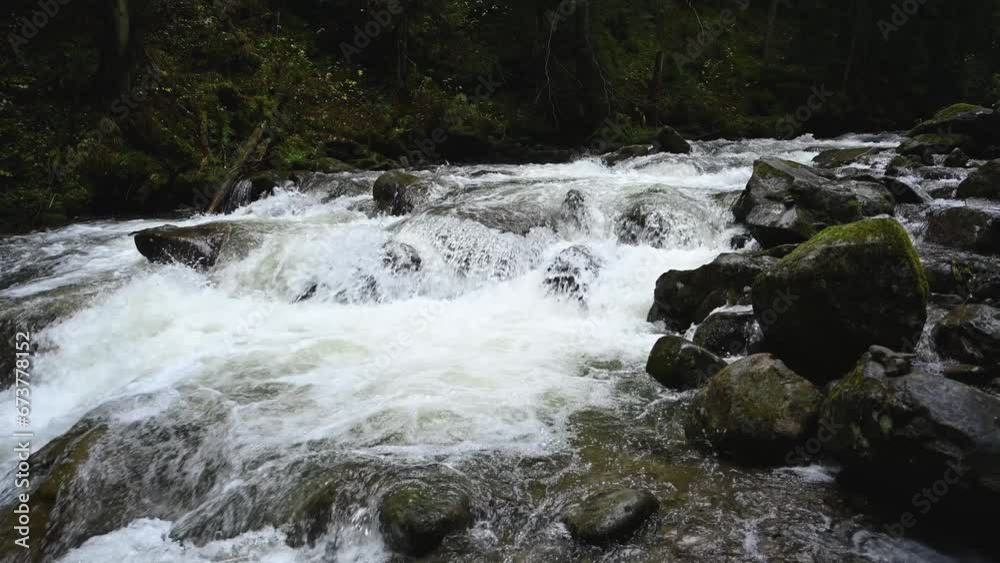 Wild mountain river flowing through stone boulders. Abundant clear stream in carpathians.