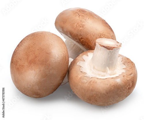 Three ripe royal champignon mushrooms with isolated on a white background.