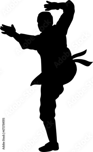 Fototapeta Naklejka Na Ścianę i Meble -  Silhouette of a kung fu karate player