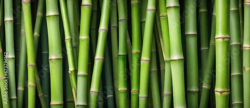 Bunch of green bamboo detailed texture background from Generative AI