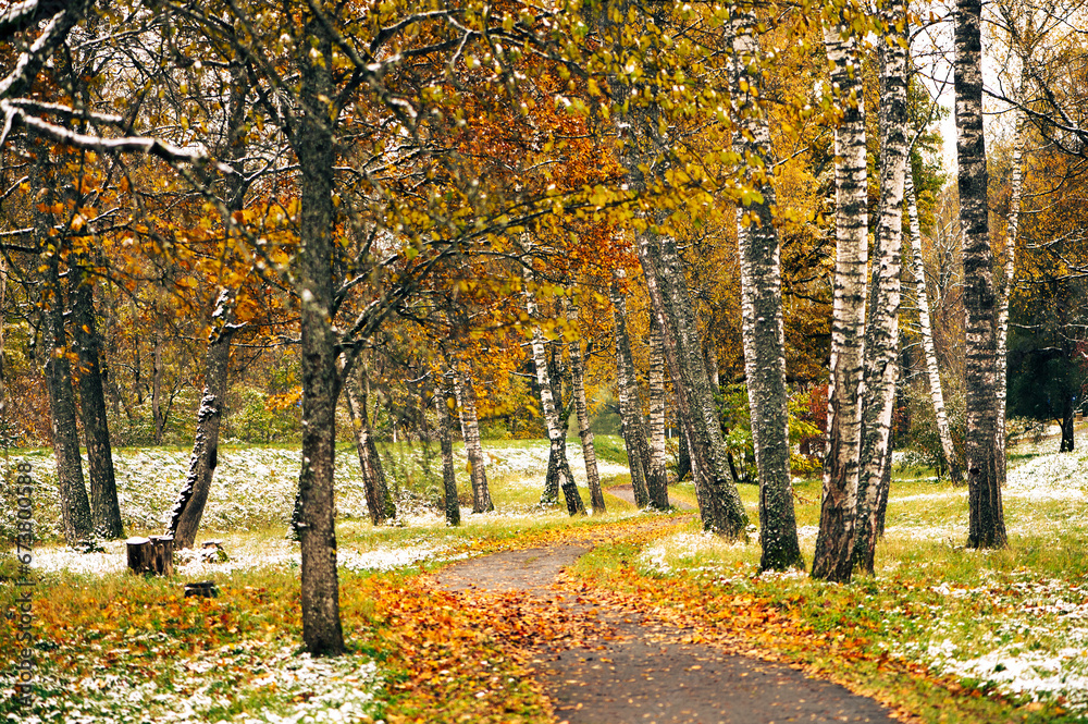Autumn trees textures with colorful leaves and white snow