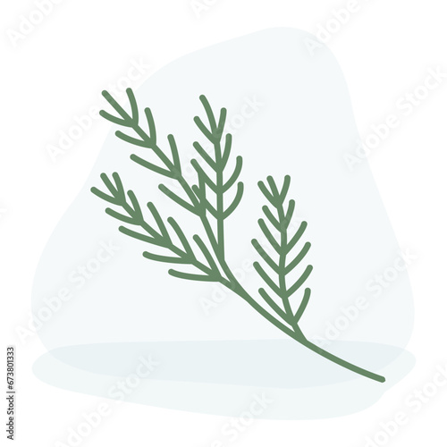Clip art of doodle fir branch on isolated background. Holiday design for Christmas home decor, holiday greetings, Christmas and New Year celebration. 