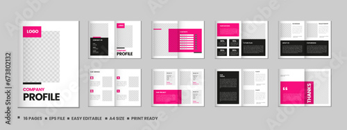Company profile, multipage flyer brochure, 16 pages portfolio magazine, annual report, catalog and a4 multipage template design photo