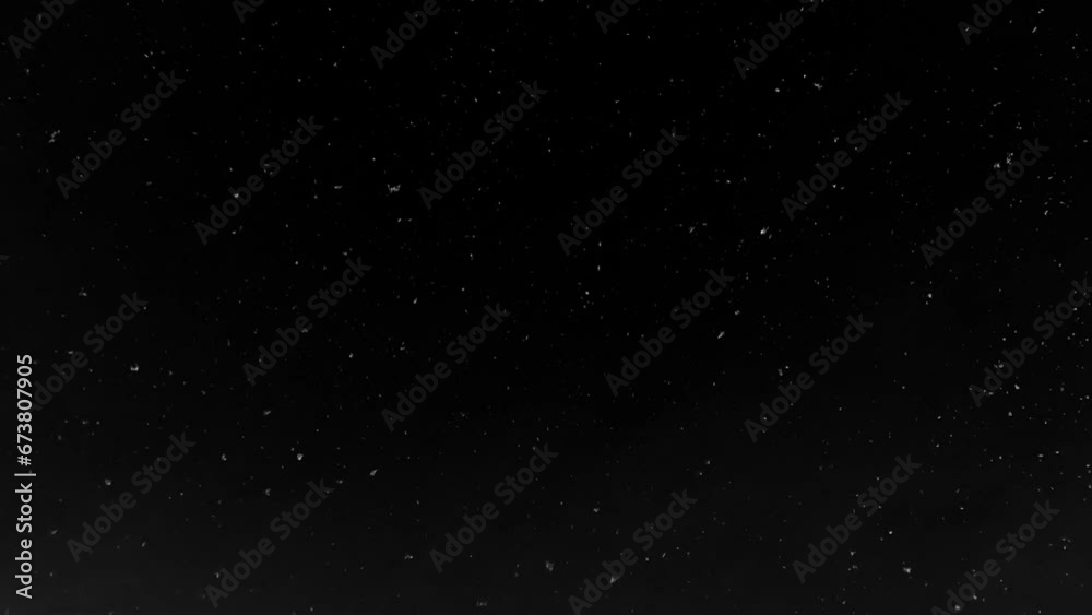 Real snow is falling on a black background. Use the Real snow is falling on a black background. Use the