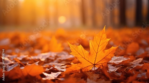 orange autumn maple leaves with soft focus at gold sunset in the forest  autumn background  Generative AI