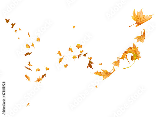 autumn leaves falling and flying  by the wind isolated for background - 3d rendering photo