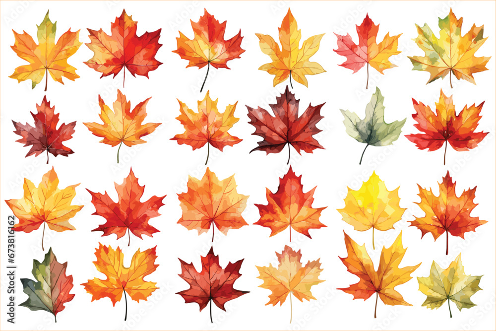 Watercolor autumn leaves, Beautiful autumn leaves, Autumn leaves watercolor set	

