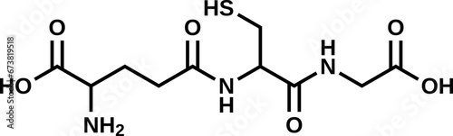 Glutathione structural formula, vector illustration